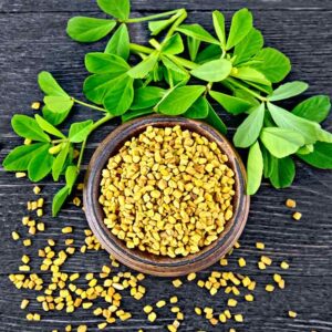 Fenugreek
