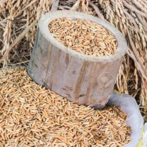 Bamboo Rice