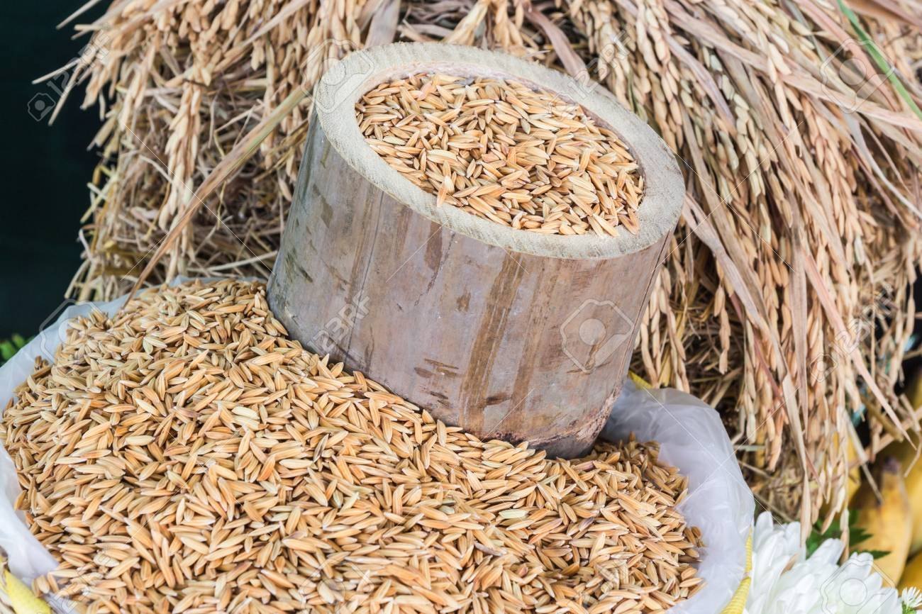 Bamboo Rice