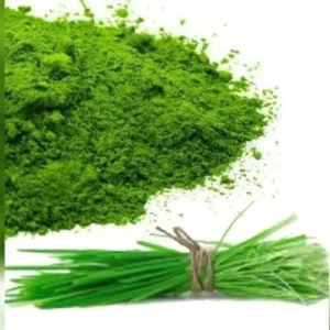 Bermuda grass (Arugambul) powder