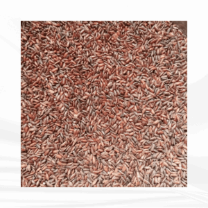 Karuthakkar Rice