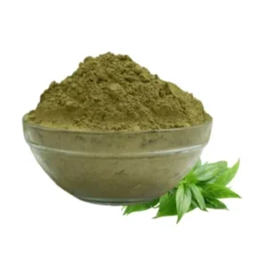 Nilavembu Powder