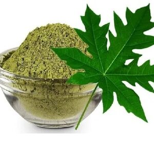 Papaya Leaf Powder