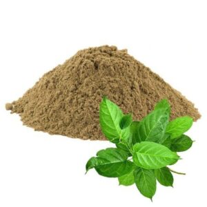 Sirukurinjan Powder