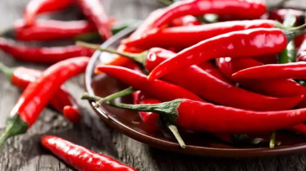 Red chilli - Long