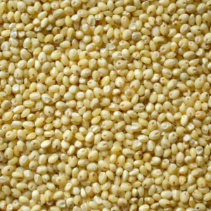 Panivaragu Noodles (Porso millet)
