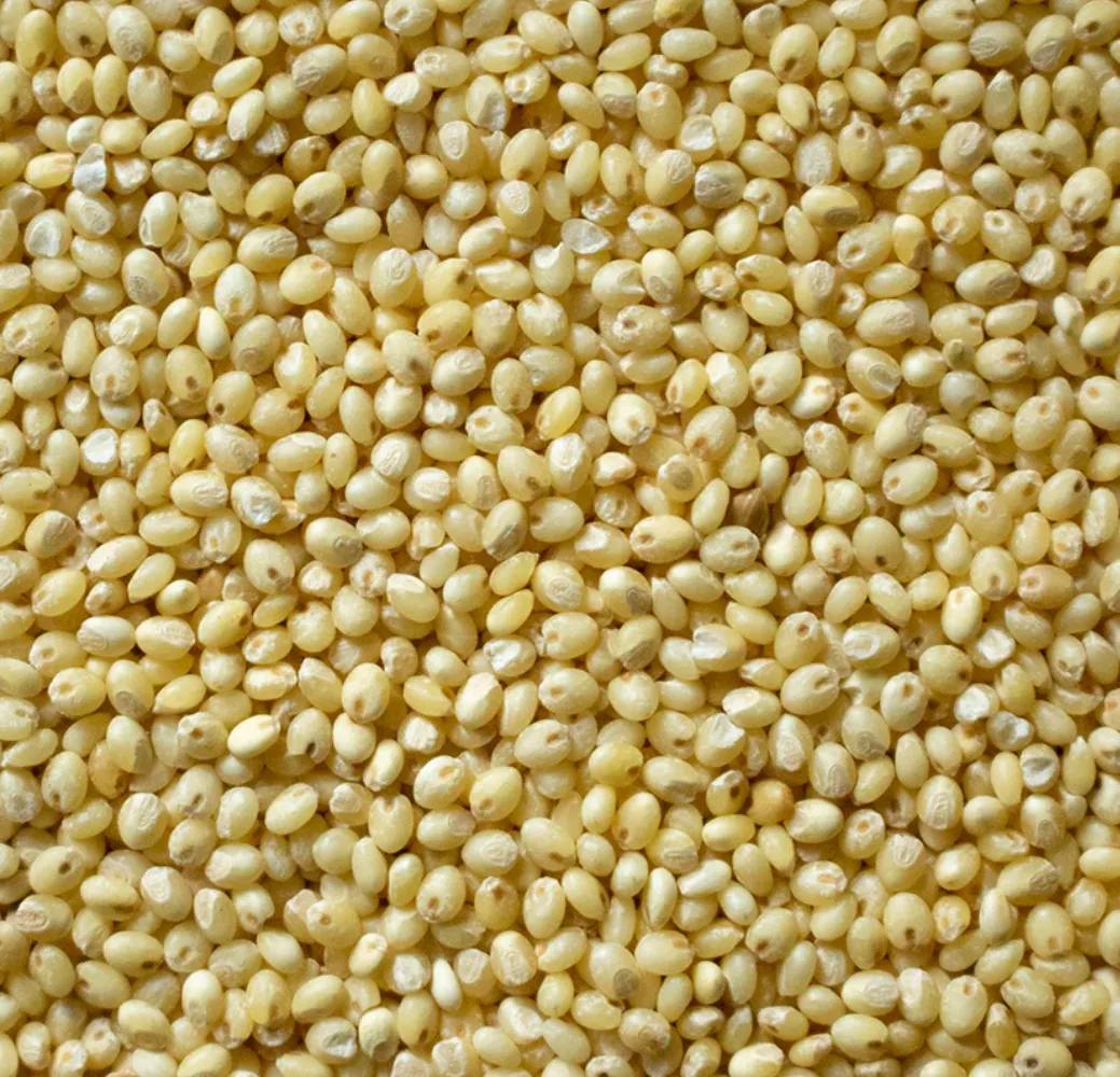 Panivaragu Noodles (Porso millet)